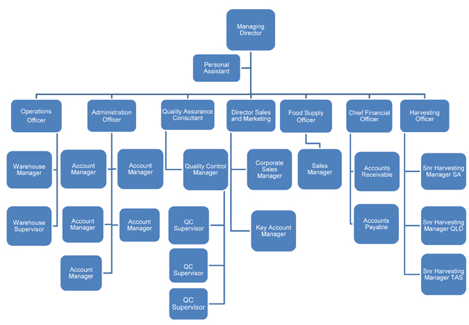 Kapiris bros organisational chart